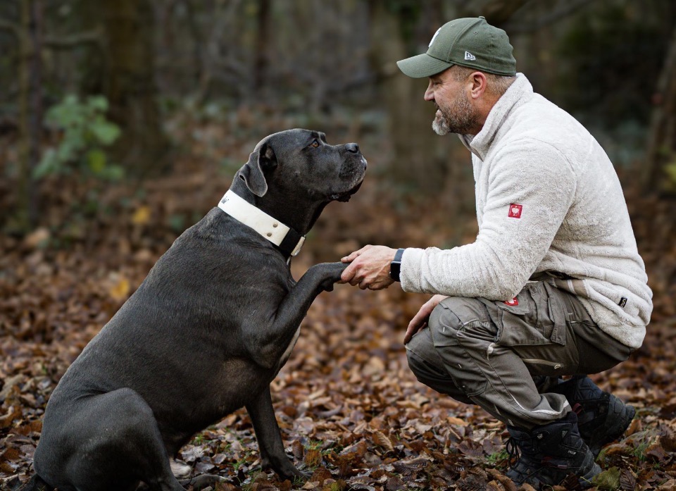 Hundecoaching im Einzeltraining