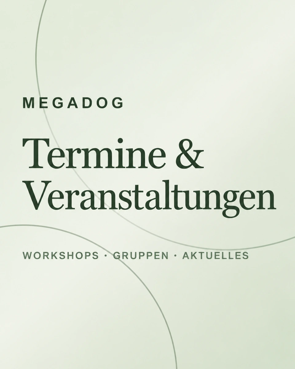 MEGADOG – Termine & Veranstaltungen